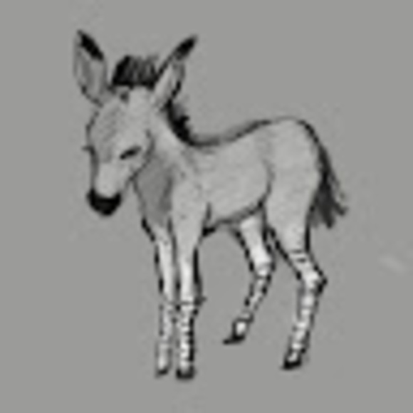 Meet your Posher, Ava - Picture 1 of 1